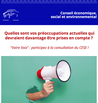 Quelles sont vos préoccupations actuelles ? … consultation du CESE